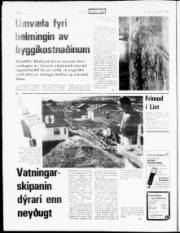 Síða 6