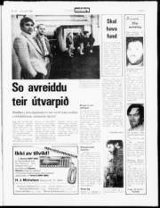 Síða 3