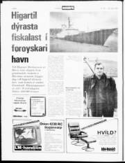 Síða 6