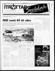 Síða 17