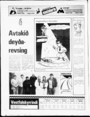 Síða 24