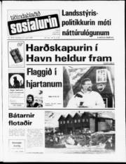Síða 1
