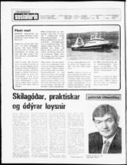 Síða 2