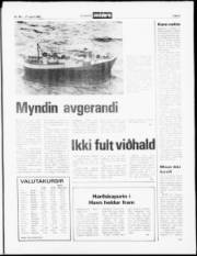 Síða 5