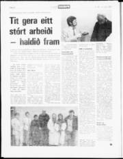 Síða 14