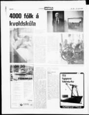Síða 20