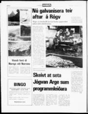 Síða 8