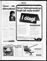 Síða 17