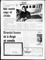 Síða 8
