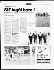 Síða 12