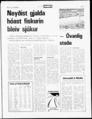 Síða 5