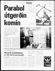 Síða 6