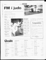 Síða 18