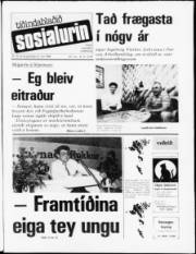 Síða 1