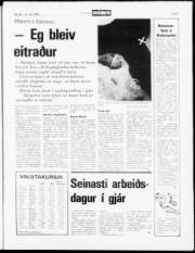 Síða 5