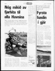 Síða 6