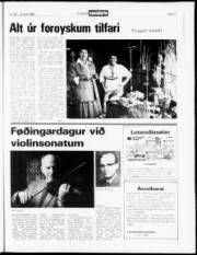 Síða 17