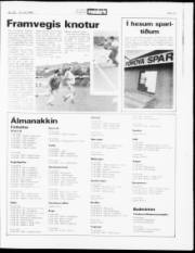 Síða 19