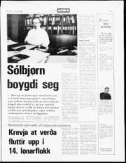 Síða 3