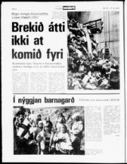 Síða 4