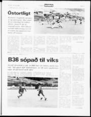 Síða 11