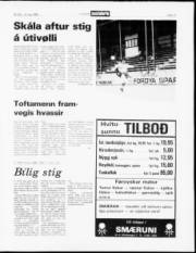 Síða 13