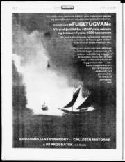 Síða 14