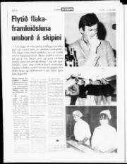 Síða 18