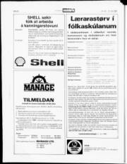 Síða 20