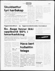 Síða 5