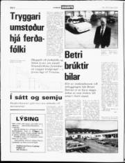 Síða 6