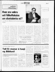 Síða 19