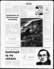Síða 3