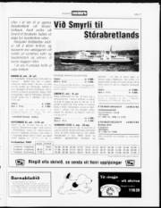 Síða 17