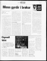 Síða 19