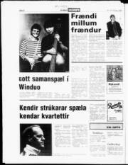 Síða 22