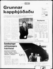 Síða 5