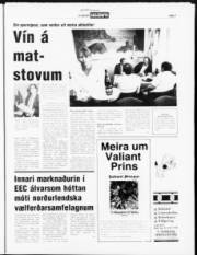 Síða 7