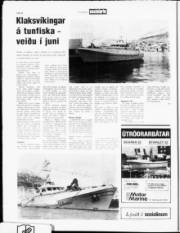 Síða 8
