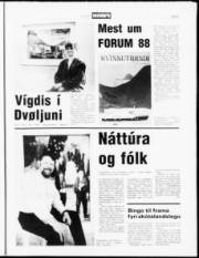 Síða 9