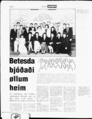 Síða 12