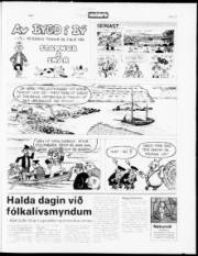 Síða 21