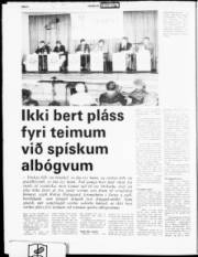 Síða 6