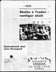 Síða 7