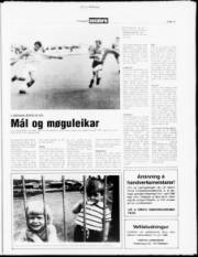 Síða 11