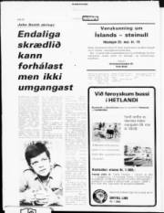 Síða 20