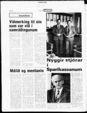 Síða 22