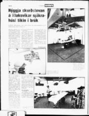 Síða 8