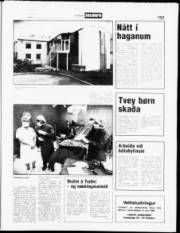 Síða 9