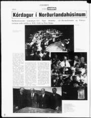 Síða 22